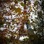 Fall at the Eiffle Tower