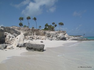 Turks & Caicos Iguana Island beach