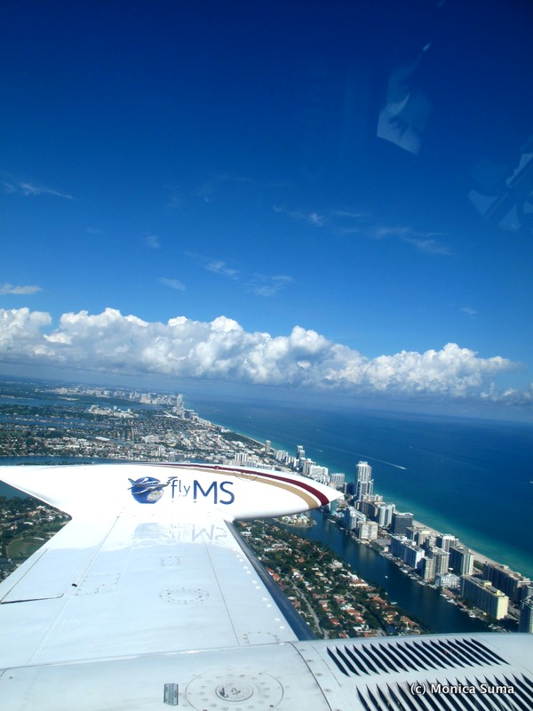 Fly for MS Miami 3