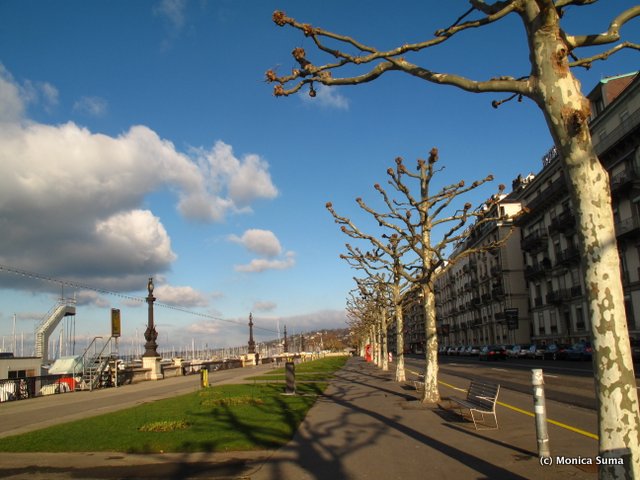 Walking by Lake Geneva