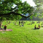 Picnic Central Park