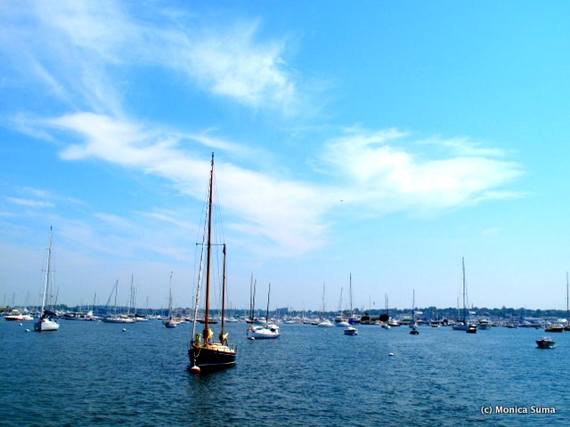 Newport sailing